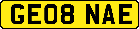 GE08NAE