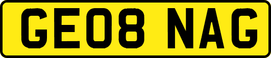 GE08NAG