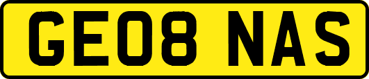 GE08NAS
