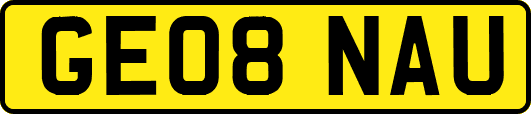 GE08NAU