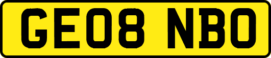 GE08NBO