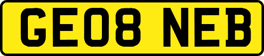 GE08NEB