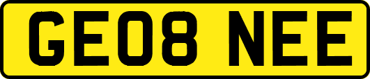 GE08NEE