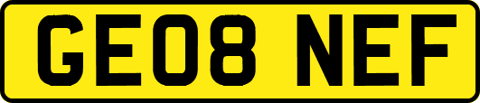 GE08NEF