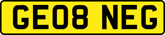 GE08NEG