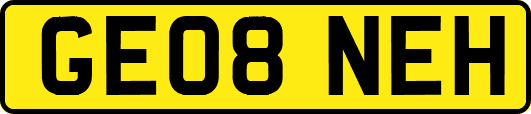 GE08NEH