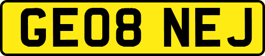 GE08NEJ