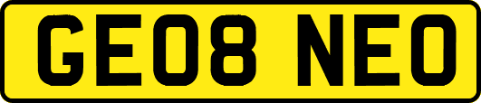 GE08NEO