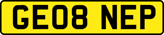 GE08NEP