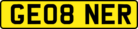 GE08NER