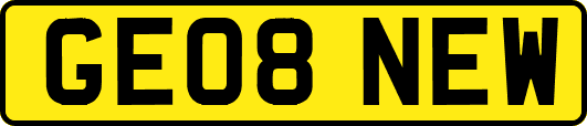 GE08NEW