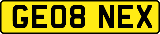 GE08NEX