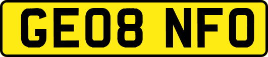 GE08NFO