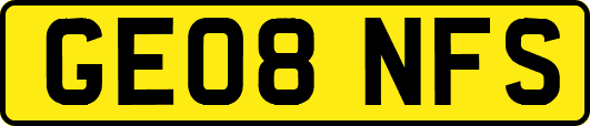 GE08NFS