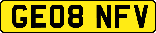 GE08NFV