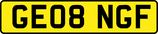 GE08NGF