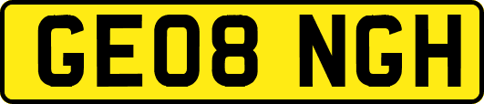 GE08NGH