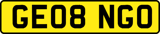 GE08NGO