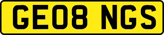 GE08NGS