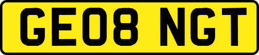 GE08NGT