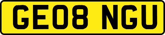 GE08NGU