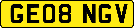 GE08NGV