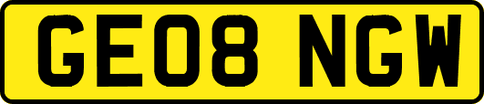 GE08NGW