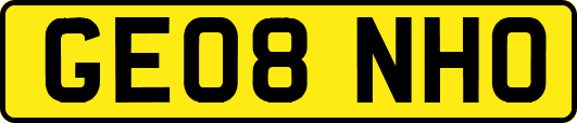 GE08NHO