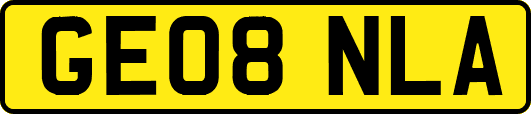 GE08NLA