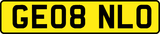 GE08NLO