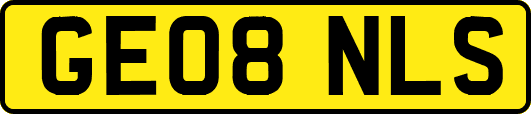 GE08NLS