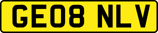 GE08NLV