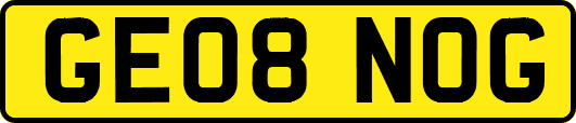 GE08NOG