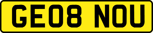 GE08NOU