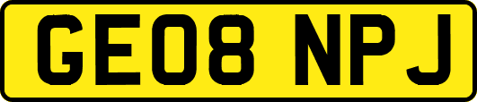 GE08NPJ