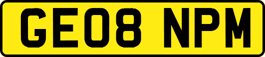 GE08NPM