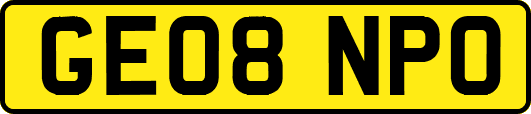 GE08NPO