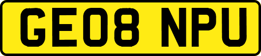 GE08NPU