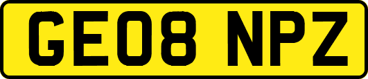 GE08NPZ