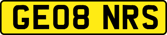 GE08NRS