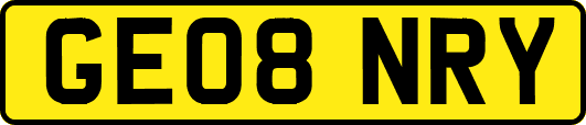 GE08NRY