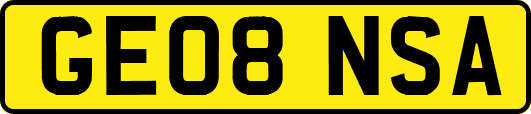 GE08NSA