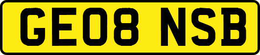 GE08NSB