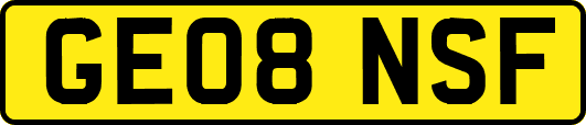 GE08NSF