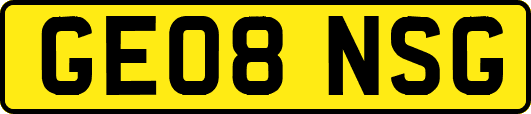 GE08NSG