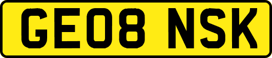 GE08NSK