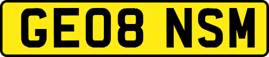 GE08NSM