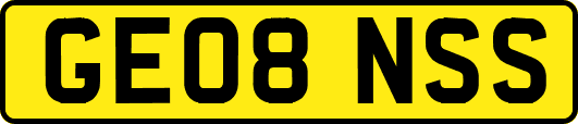 GE08NSS
