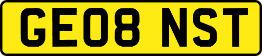 GE08NST