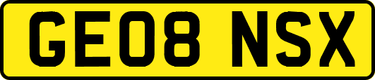 GE08NSX